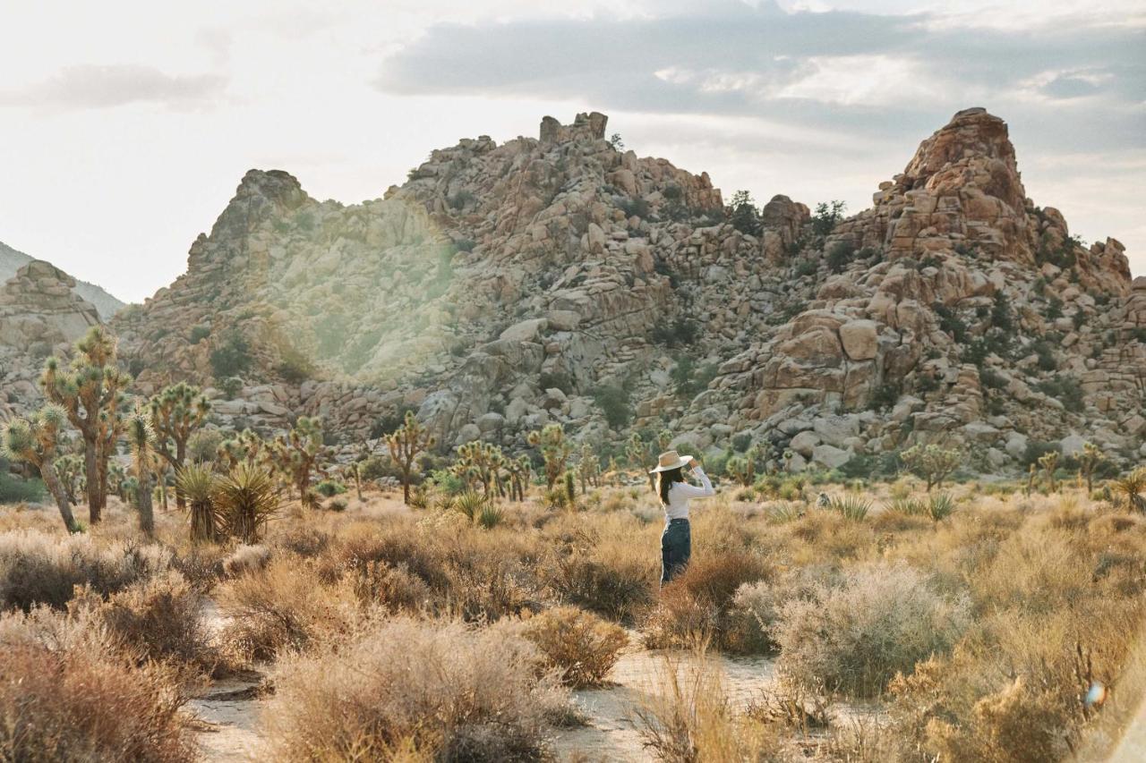 Field Station Joshua Tree Hotel Yucca Valley Exterior foto